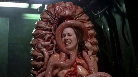 Space Sluts sinew and guts (Part 1)