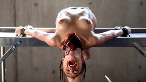 Organ Harvest alternate angles