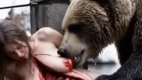 Feeding the Bears