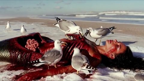 The Mermaid Horror Documentary – Winter Predators
